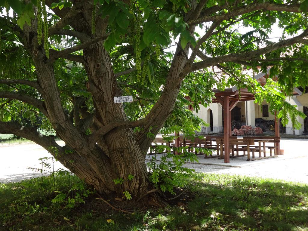 Rivieraoglio Vakantieboerderij